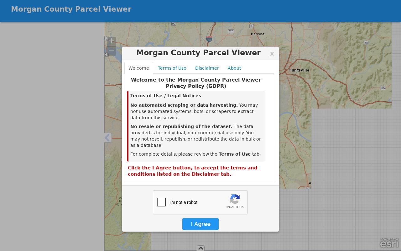 Decatur street directory Morgan parcel GIS map